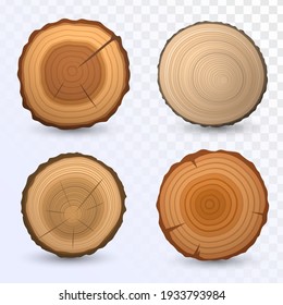 Set of round cuts of logs, wooden elements with tree rings