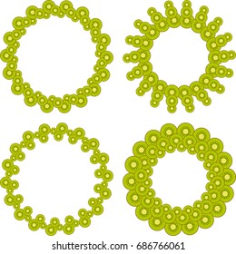 Set of round frames of ripe and juicy kiwi slices.