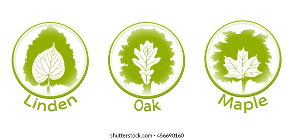 The set of round icons of trees and leaves (linden, oak and maple)