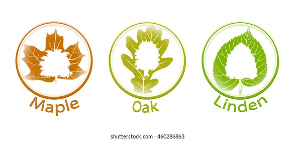 The set of round icons of trees and leaves (linden, oak and maple)