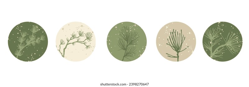 Set of round icons of winter coniferous branches of spruce, pine and falling snow. Seasonal decor for Christmas, New Year holidays. Vector graphics.