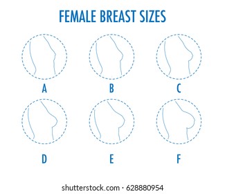 Set of round line icons of different female breast size, body side view. Various boobs sizes, from small to large. Sizes of busts, from A to F. Vector isolated on white. 
