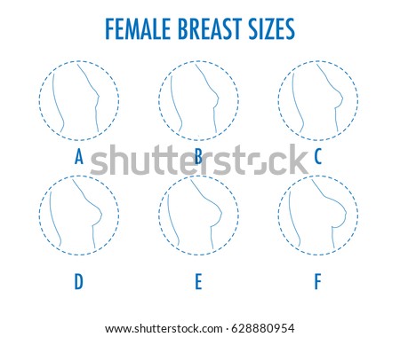 pics of different boob sizes Gewichte bdsm shop