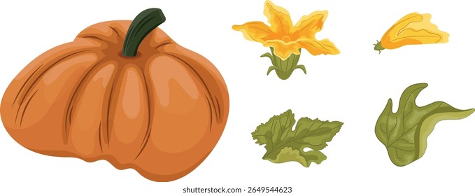 set with round orange pumpkin and green tops with yellow flowers and green leaves next to it, for autumn print, textile or packaging