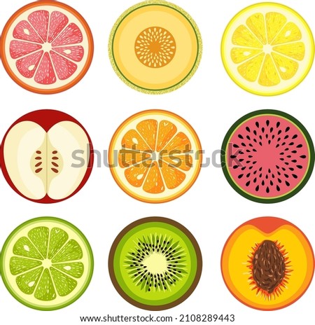 Set of round summer fruit slices
