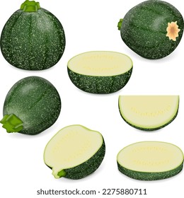 Runde Zucchini- oder Acht-Ball-Squash-Set. Cue Ball Squash. Zucchini oder Knochenmark. Sommerspass. Cucurbita pepo oder würfel. Obst und Gemüse. Vektorgrafik einzeln auf weißem Hintergrund.