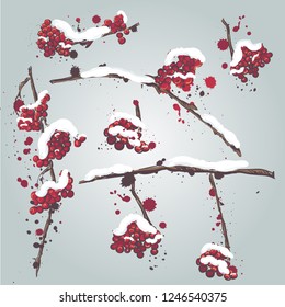 Set of rowan branches with the snow on them. Frozen tree branches, rowan berry, snowfall. Cartoon doodle style