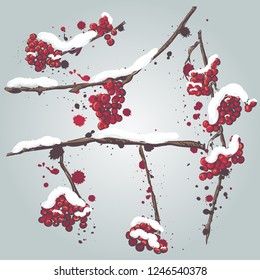 Set of rowan branches with the snow on them. Frozen tree branches, rowan berry, snowfall. Cartoon doodle style