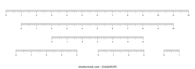 Set of rulers to measure length in inches vector illustration. Simple school instrument with English system measures scales for measurement 12, 10, 6, 4, 3, 1 inches, collection for math background