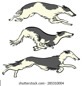 Set with running Russian Borzoi Dogs, working dogs