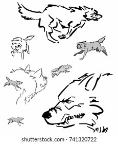 Set of running wolves or dogs in motion in various views. Eight wolves at white background vector sketch. Simple drawing. Black, white, grey.