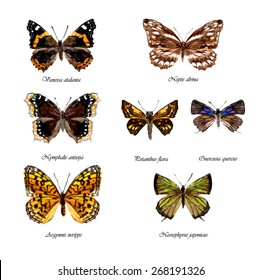 Set of russian butterflies. Watercolor hand drawn illustration. Vector