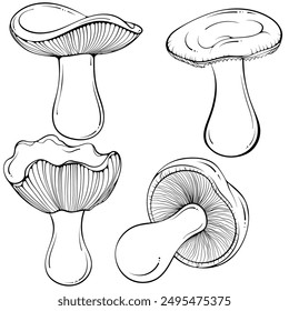 Set of russula mushrooms. Brittlegill forest autumn edible mushroom. Vector illustration in hand drawn sketch doodle style. Line art graphic healthy food isolated on white for coloring book, print