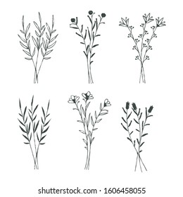 Set of rustic bouquets of field plants. Line. Vector illustration.