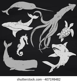 Set of rustic, grungy sea or ocean animals on chalk board