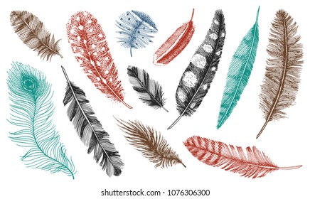 Set of Rustic realistic feathers of different birds, owls, peacocks, ducks. engraved hand drawn in old vintage sketch. Vector illustration.