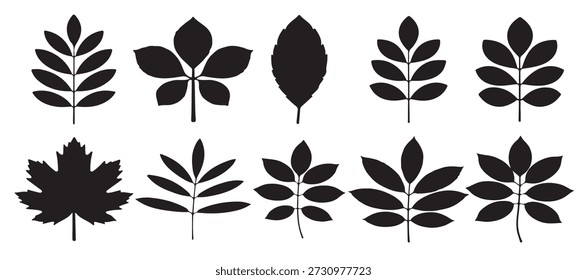 Conjunto de Ilustración vectorial S