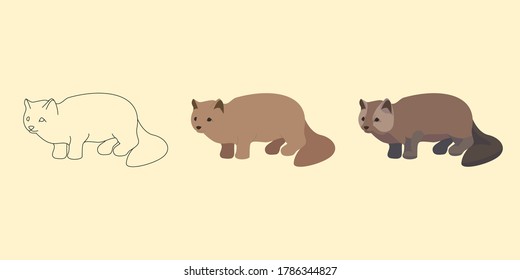 set of sable illustrations, linear, flat, volumetric, fluffy animal stands and looks to the left forward, side view