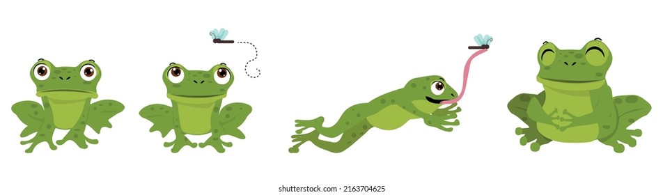 Set of sad cartoon hungry frog, smiling, resting and hunting isolated on white background. Funny frog jump catch butterfly by tongue vector flat illustration. Colorful and cute amphibians collection.