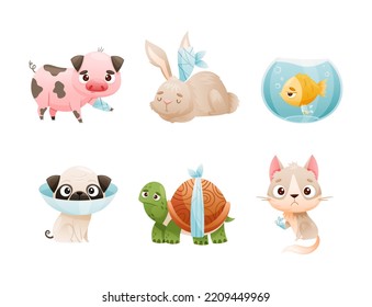 Set of sad sick animals. Unhappy pig, rabbit, fish, dog, turtle, kitten, puppy, wounded or after surgery pet animals cartoon vector illustration