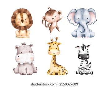 Set of Safari Animals Illustration 