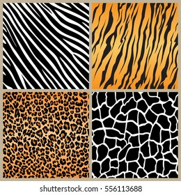 set safari selva animal listra animais bengala tigre girafa zebra textura padrão sem costura repetindo branco preto laranja marrom