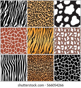 set safari jungle animal fur stripe animals bengal tiger giraffe zebra cow snake texture pattern seamless repeating white black orange brown