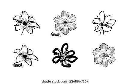 conjunto de icono de flor azafrán, crocus Flower, vector de flores sobre fondo blanco