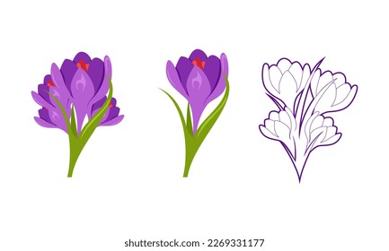 Saffron-Blumensymbol