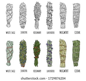 Set of sage and herbs sage smudge sticks bundles. Vector stock hand-drawn set of isolated doodles on white background. Collection of bundles. Sage, rosemary, lavender, cedar, juniper, mugwort