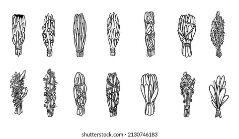 Conjunto de sabios y hierbas de mancha de mancha de mancha de salvia paquetes. Conjunto vectorial de garabatos aislados sobre fondo blanco. Colección de paquetes. Salvia, romero, lavanda, cedro, enebro, gusano