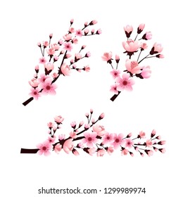 Branch Pink Blossoming Sakura Japanese Cherry Stock Vector (Royalty ...