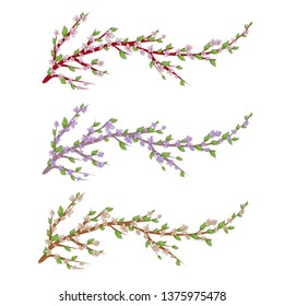 Set of Sakura branches with flowers, cherry blossom, vector illustration.