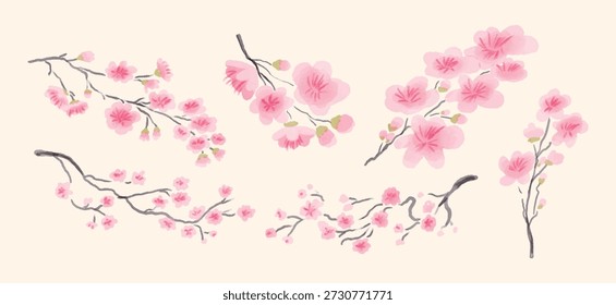 Set of Sakura Cherry Blossom Branches, pink Flowers and Buds, Spring Botanical Clip Art, hand drawn watercolor style Vector Illustration, isolated on beige background
