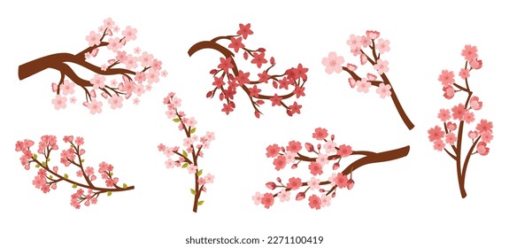 Set of Sakura Cherry Branches With Pink Blooming Flowers Isolated On White Background. Collection of Spring Fruit Tree Twigs, Natural Clip Art Elements. Cartoon Vector Illustration