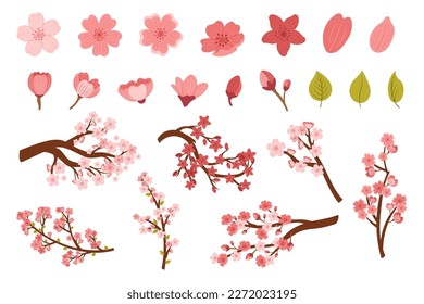 Conjunto de flor de cerezo Sakura aislado en fondo blanco. Flores rosas, hojas verdes y ramas, elementos de diseño gráfico, iconos, colección de decoración clipart. Ilustración del vector de dibujos animados