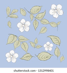 Set of sakura flowers elements. Collection of spring flowers on a blue background. Vector illustration bundle.