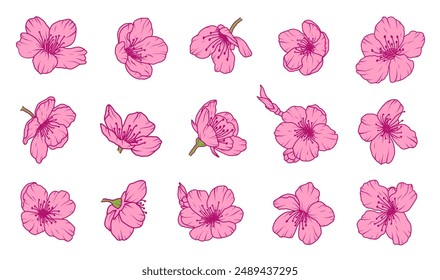 Set of sakura flowers spring petals. Cherry blossom pink Japanese floral branch. Apple plum bloom flowers. Chinese sakura floral abstract icons. Vector illustration in flat style