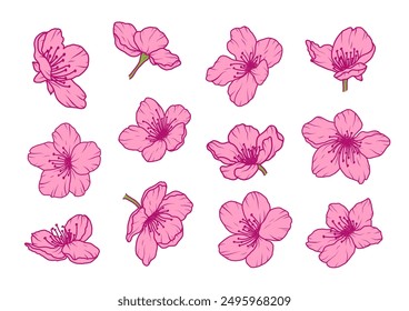 Set of sakura flowers spring petals. Cherry blossom pink Japanese floral branch. Apple plum bloom flowers. Chinese sakura floral abstract icons. Vector illustration in flat style