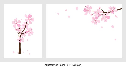 Set of Sakura tree and branch isolated on white backgrounds vector illustration. Beautiful spring nature wallpaper.