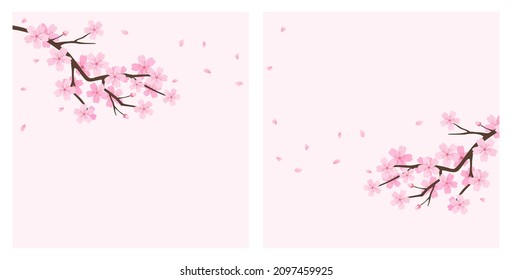 Conjunto de ramas de árbol Sakura sobre fondo rosa pastel ilustración vectorial.