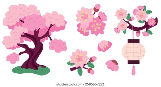 Set of sakura tree, twig, petal, flowers. Branch with Chinese national lantern. Japanese cherry blossom. Hanami holiday. Spring botanical pink trees.