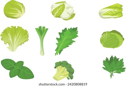 Set of salad and cabbage species,and green vegetables ,isolated