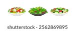 Set of salads with fresh vegetables in plates.Vector cartoon flat illustration of healthy food. 