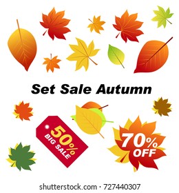 Set sale autumn. Autumn elements for your banners or posters. Autumn leaves red, orange, green isolated on white background. The red sheet is a discount of 70 percent. On tag are big sale 50% off. 
