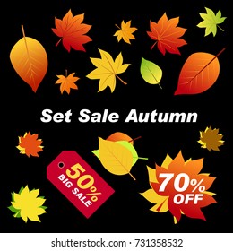 Set sale autumn. Autumn elements for your banners or posters. Autumn leaves red, orange, green on black background. The red sheet is a discount of 70 percent. On the tag are big sale 50% off. 