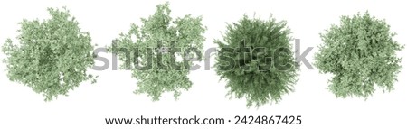 Set of Salix Purpurea Nana,Olive trees and shrubs, 3D rendering. top view, plan view, for illustration, architecture presentation, visualization, digital composition