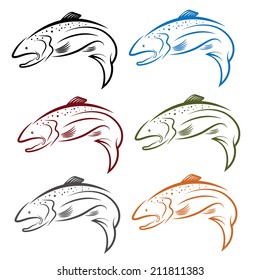 set of salmon fish