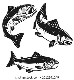 Set Salmon Fish Icons Isolated On Stock Vector (Royalty Free) 1012141249