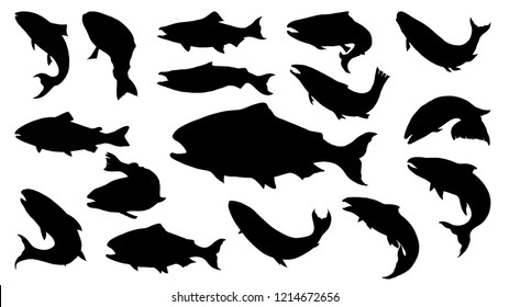 Set salmon silhouette in